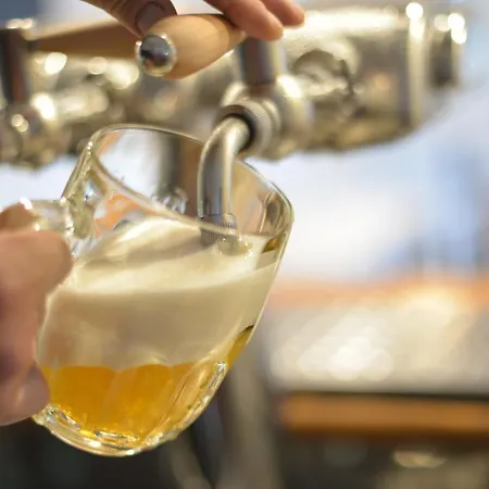 Laguna & Restaurant 3* Чеське Будєйовіце