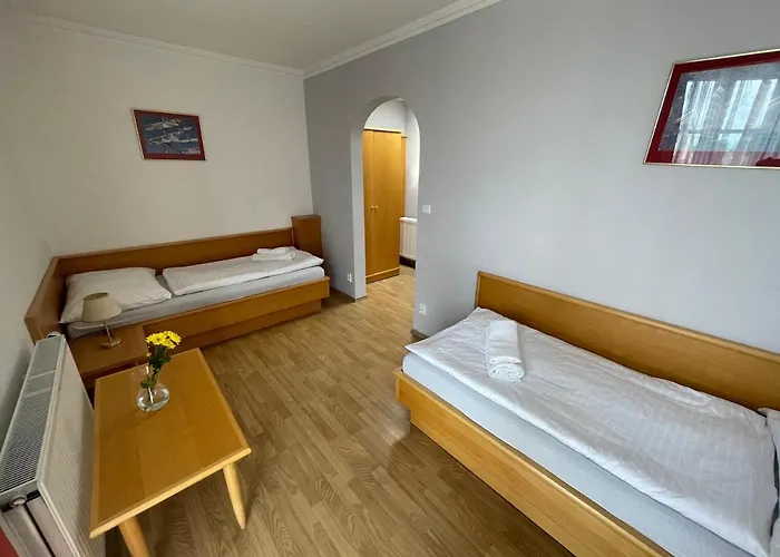 Laguna & Restaurant 3* Чеське Будєйовіце