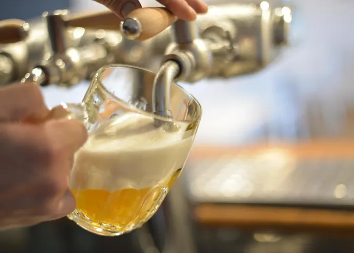 Laguna & Restaurant 3* Чеське Будєйовіце